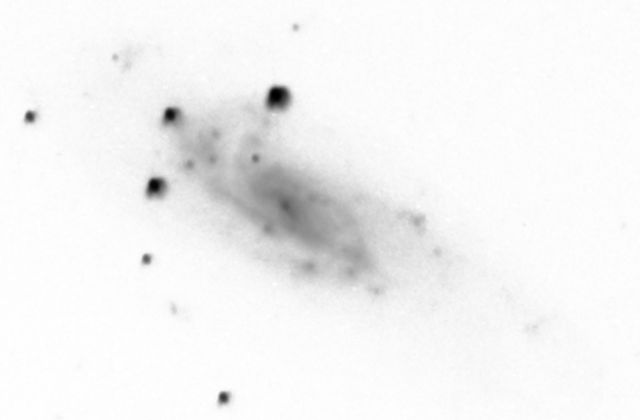 NGC 4559.jpg